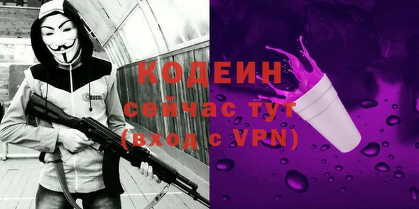 дурь Покачи
