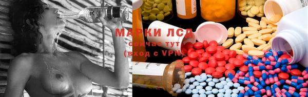 дурь Покачи