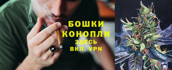 дурь Покачи